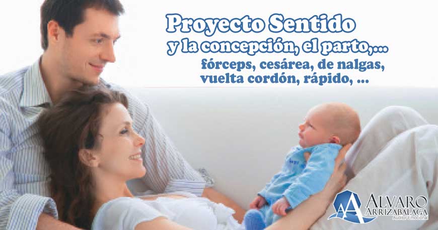 El Proyecto Sentido