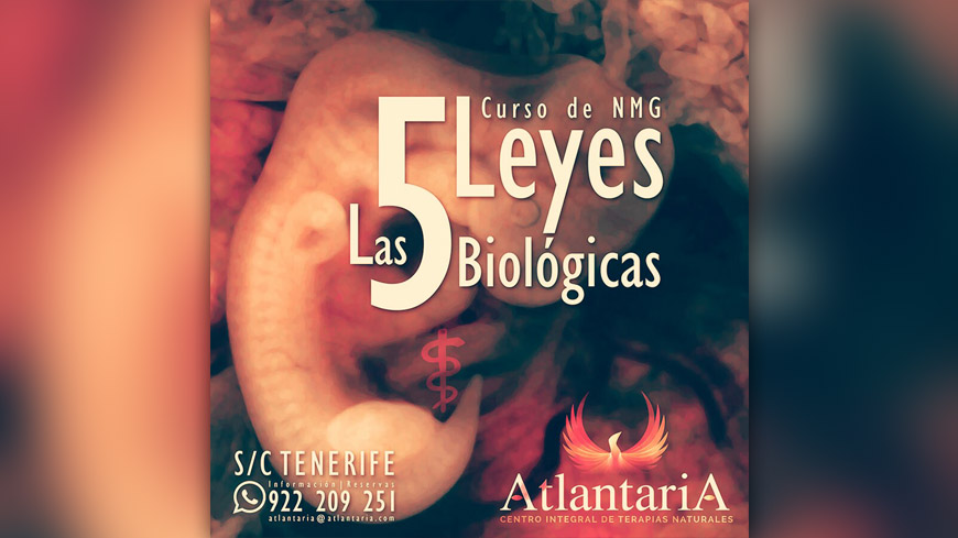 Curso Las 5 leyes Biológicas (NMG)