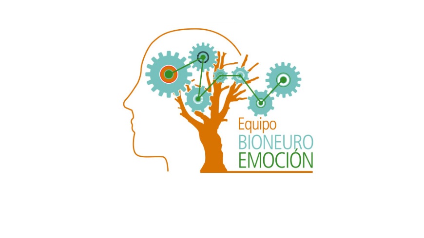 Qué es la BioNeuroEmoción